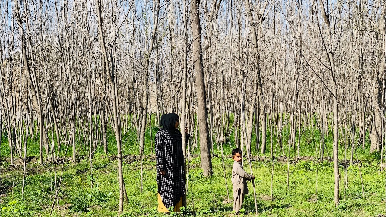Charsadda, Peshawar. Travel Vlog