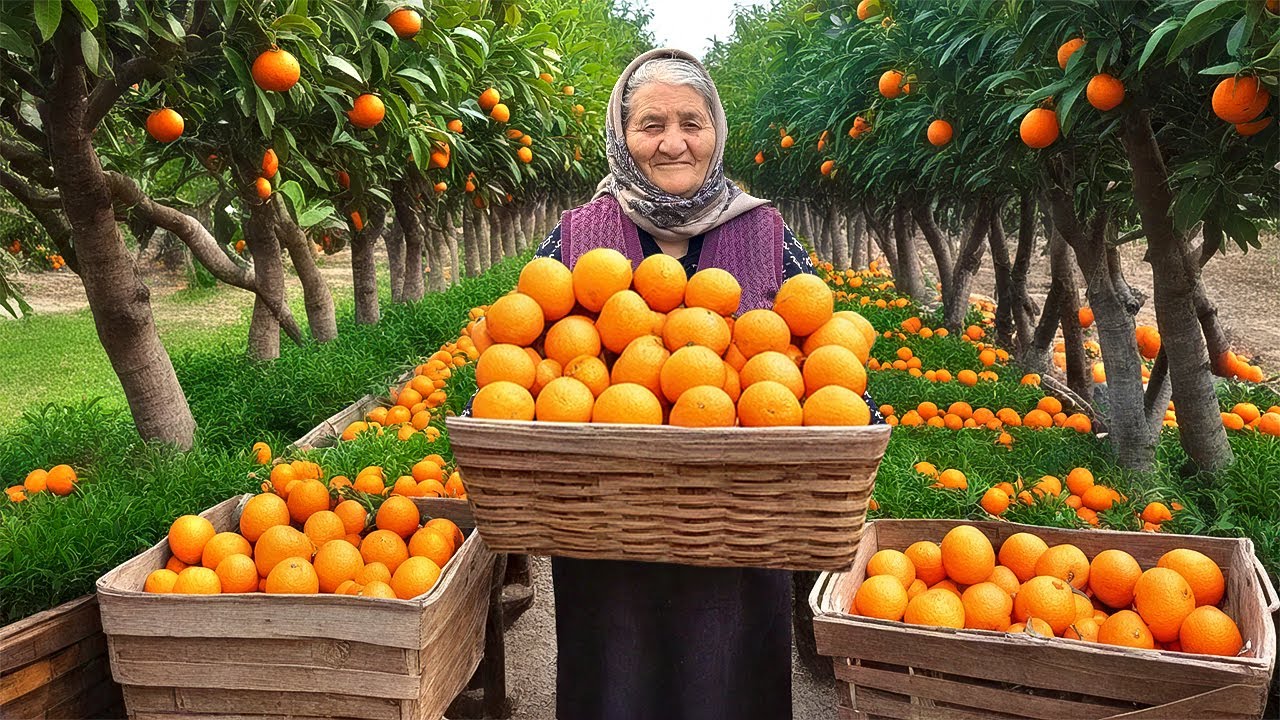 В этой Деревне Выращивают Тонны Мандаринов! Делаем Органическое Мандариновое Варенье и Пирог!