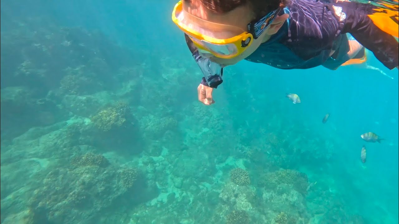 Diving & Snorkeling in Cabo
