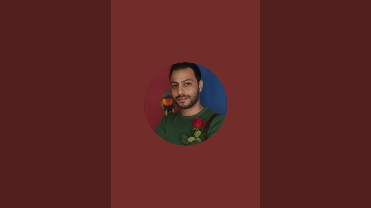 بدأت قناة 