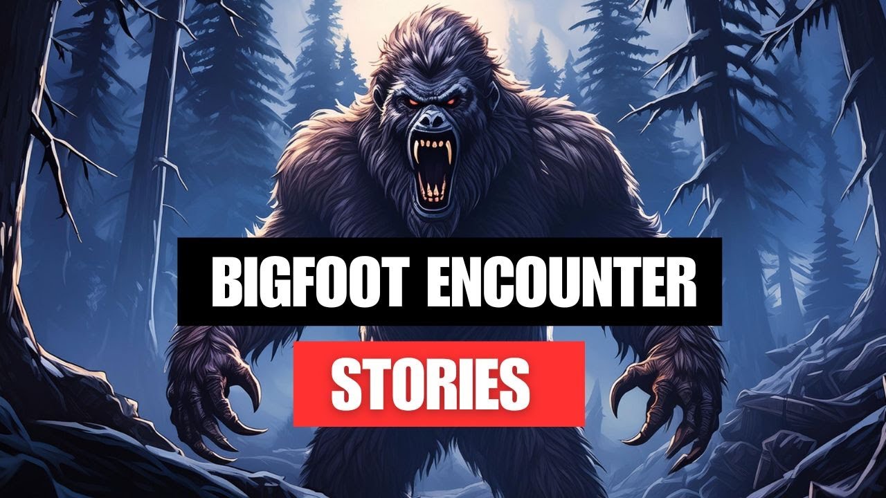 Bigfoot Encounter Stories: Class A Encounters From The US