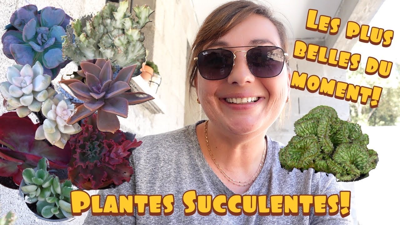 Mes plus belles #plantesucculente  du moment | Octobre 2021 | SUCCULENT TOUR | #planttour