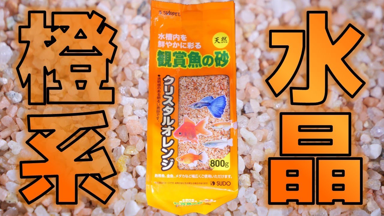 【砂利】廃盤になった後、復活した理由が分かりました。スドー 観賞魚の砂クリスタルオレンジ【ふぶきテトラ】