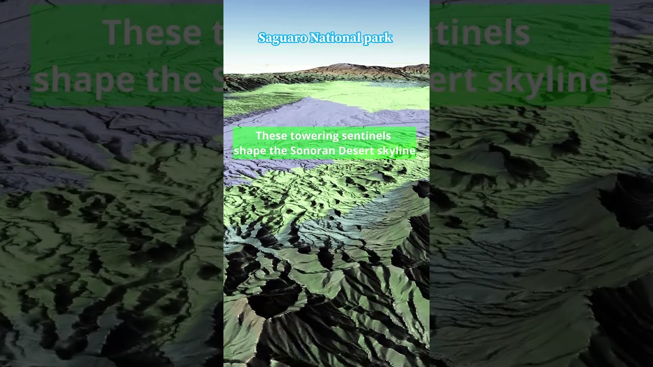 Saguaro National Park 3D Flyover | Over 2 Million Towering Saguaros & Sonoran Desert Giants
