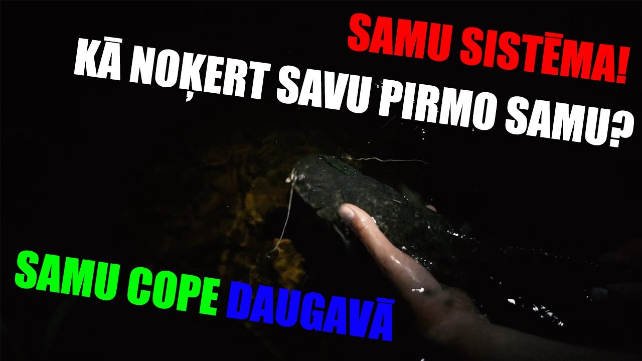 KĀ NOĶERT SAVU PIRMO SAMU? SAMU COPE DAUGAVĀ! SAMU SISTĒMA!