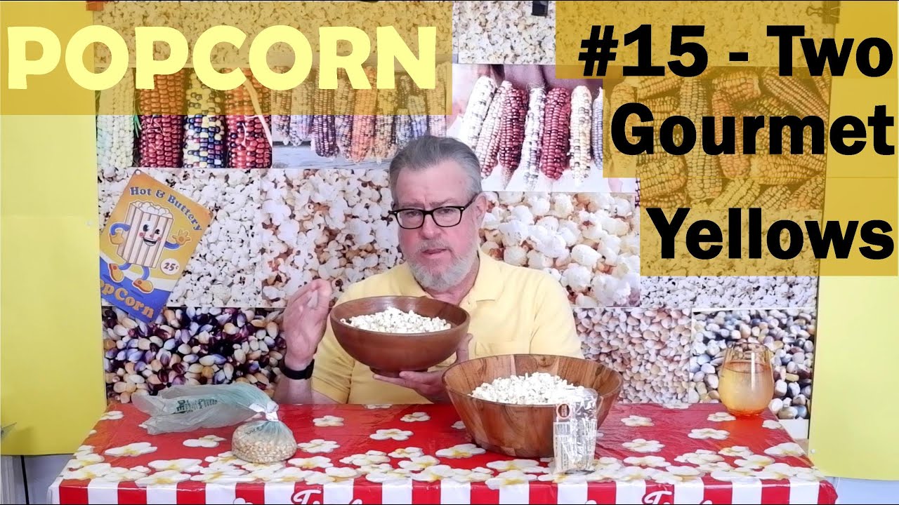 Popcorn 15 - Two Gourmet Yellow Popcorns