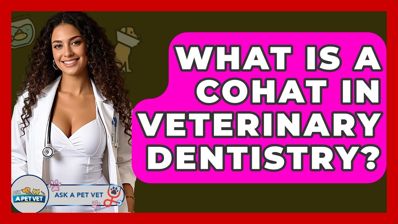 What Is A COHAT In Veterinary Dentistry? - Ask A Pet Vet