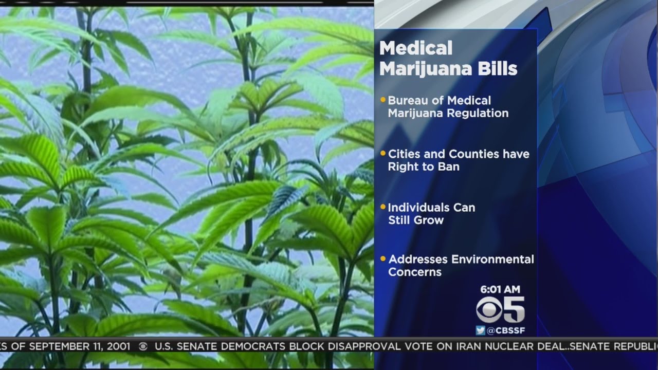 Haze May Finally Lift On Statewide Medical Marijuana Regulations