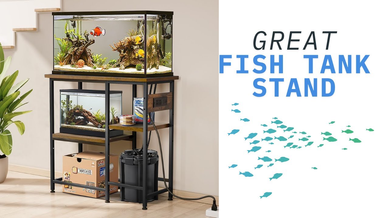 PawGiant Fish Tank Stand Review | Strong, Stylish & Functional Aquarium Setup!