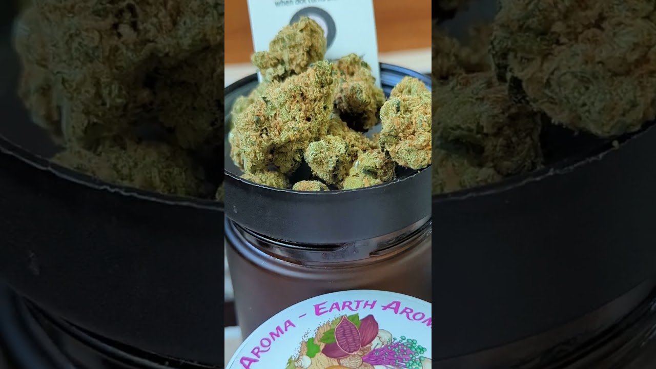 Chemovar - Lemon Thai Hindu Kush 🍋 24% OGK