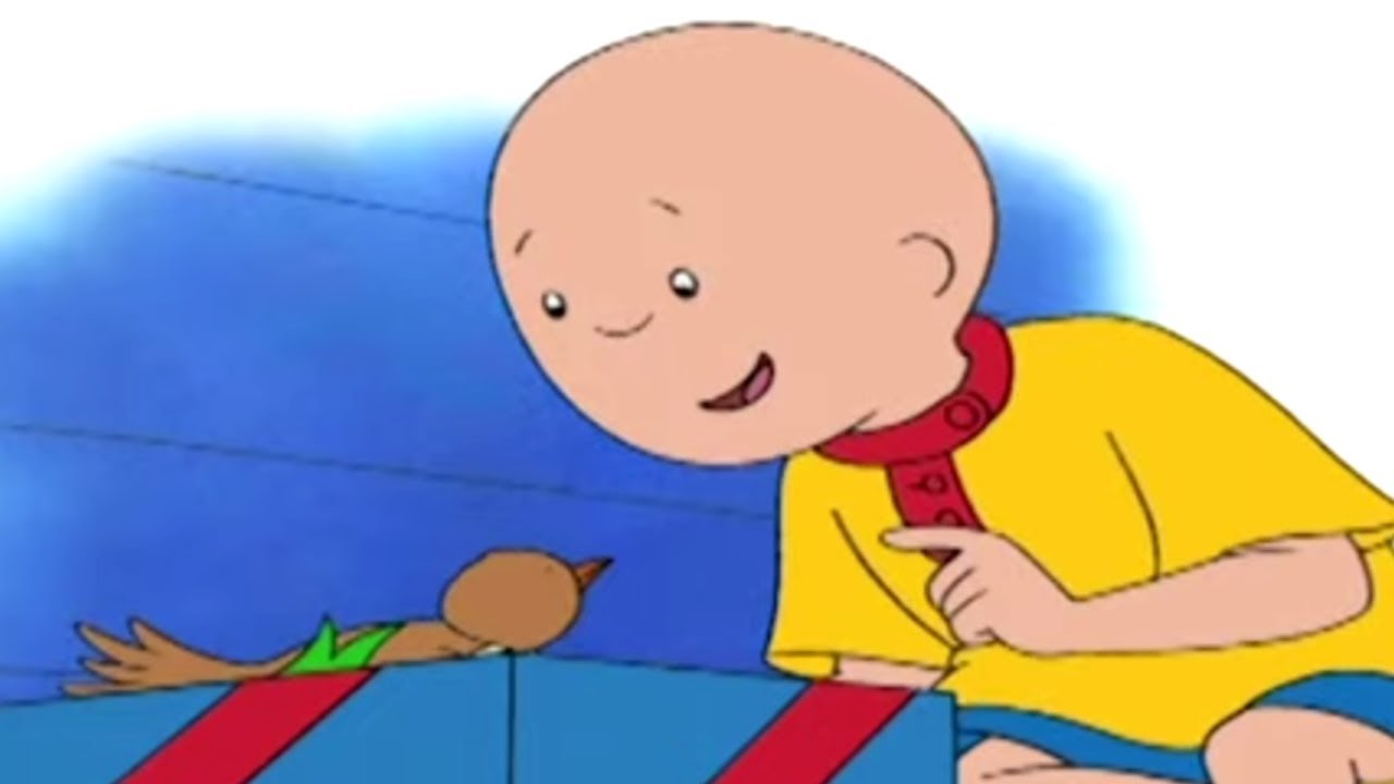 Caillou em Português | Caillou e o Passarinho | Nova Temporada | Desenho Animado