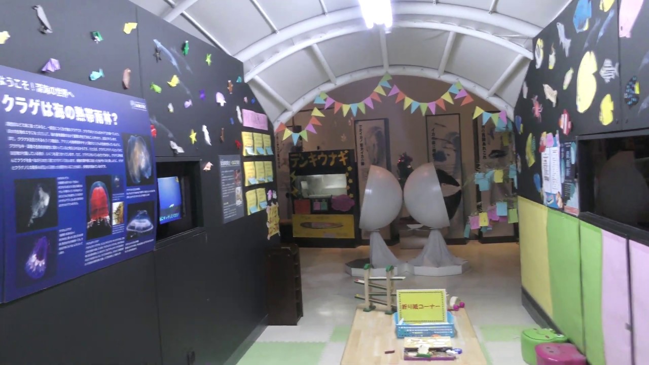 館内一周 (八戸市水産科学館マリエント) 2019年8月10日