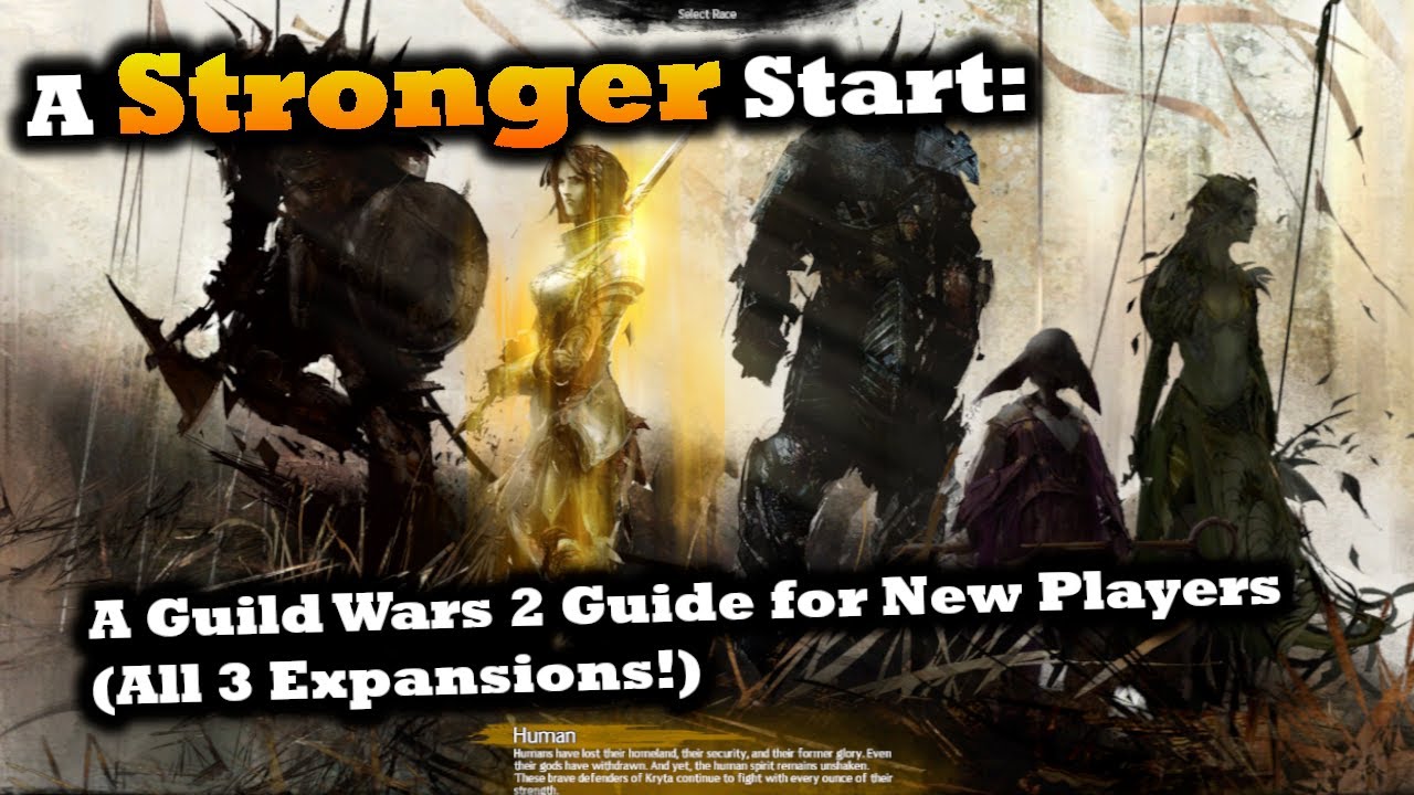 A Stronger Start: A Guild Wars 2 Guide for New Players 2025 (comedy/guide)