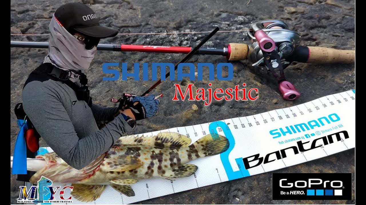 First Strike On 2022 Shimano Bantam Pair With Shimano Majestic Rod