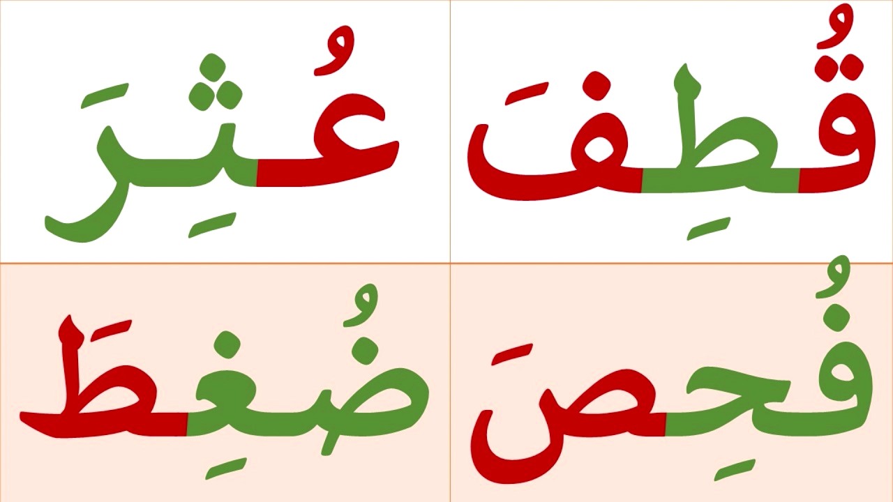 تعلم كيف تقرأ كلمات مع الحركات الثلاث الفتحه والكسرة والضمة | تعلم النطق الصحيح للغة العربية