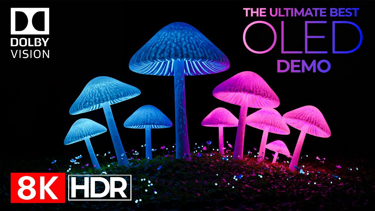 WORLD'S SHARPEST DETAIL | 8K HDR Dolby Vision&trade; 120FPS Ultimate Visuals