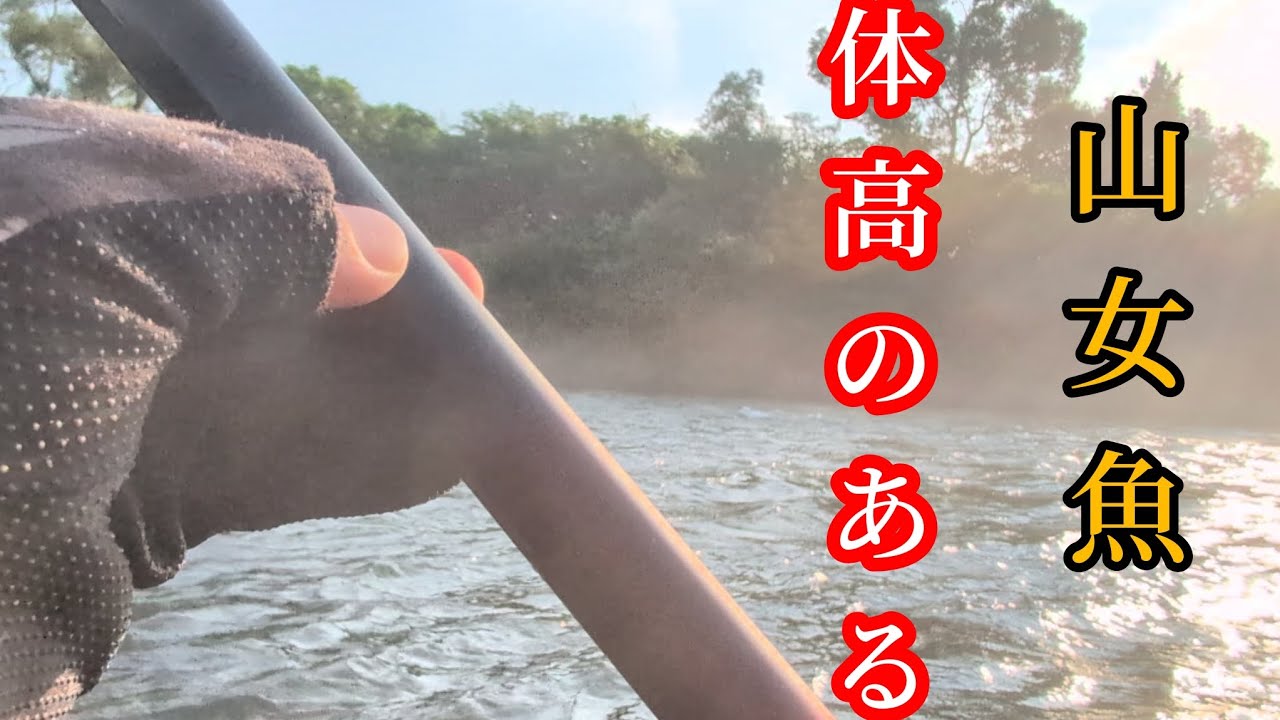鬼怒川本流餌釣り　　幅広山女魚が釣れました!