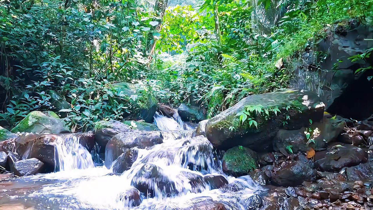 Calm River Sounds for Deep Rest
