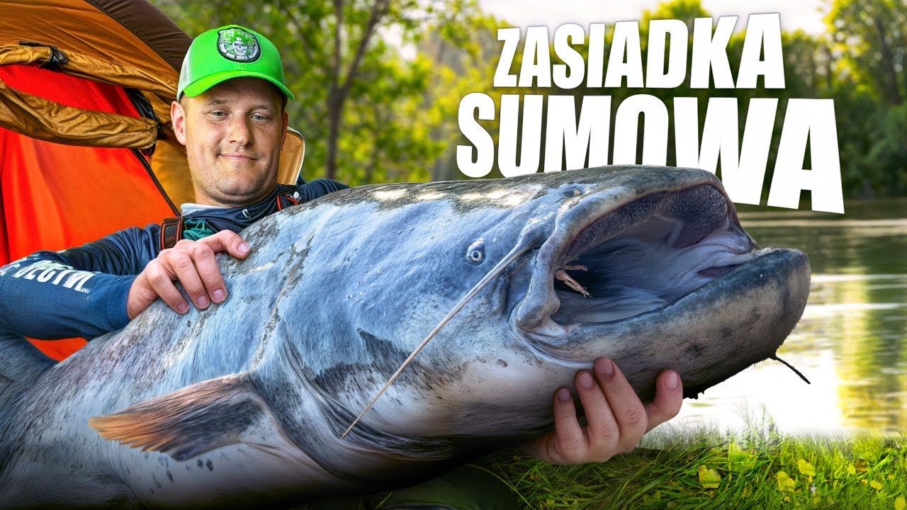 ZASIADKA SUMOWA W KRAINIE GIGANTÓW! ODC.1
