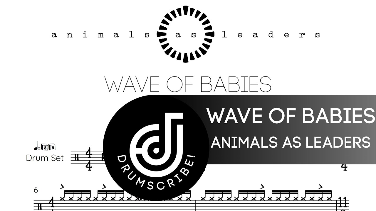 Animals as Leaders - Wave of Babies (Drum transcription) | The Drumscribe Universe