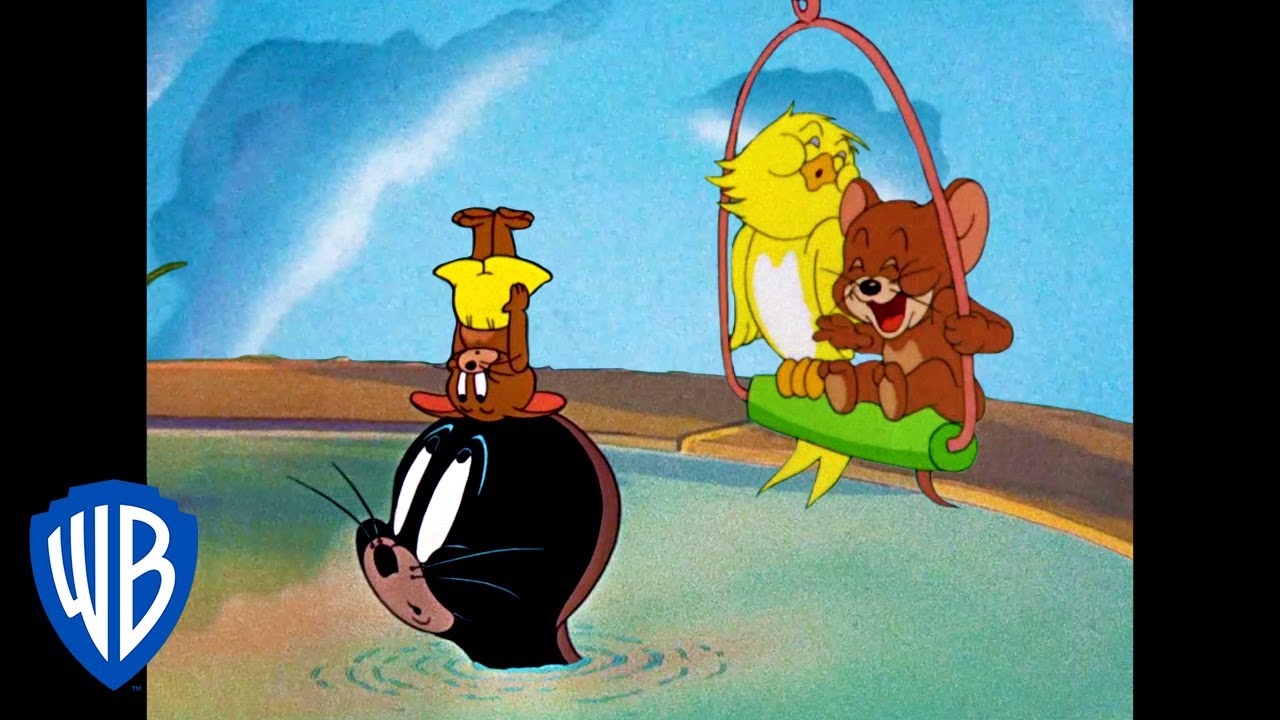 Tom y Jerry en Latino | Jerry y Sus Amigos | WB Kids