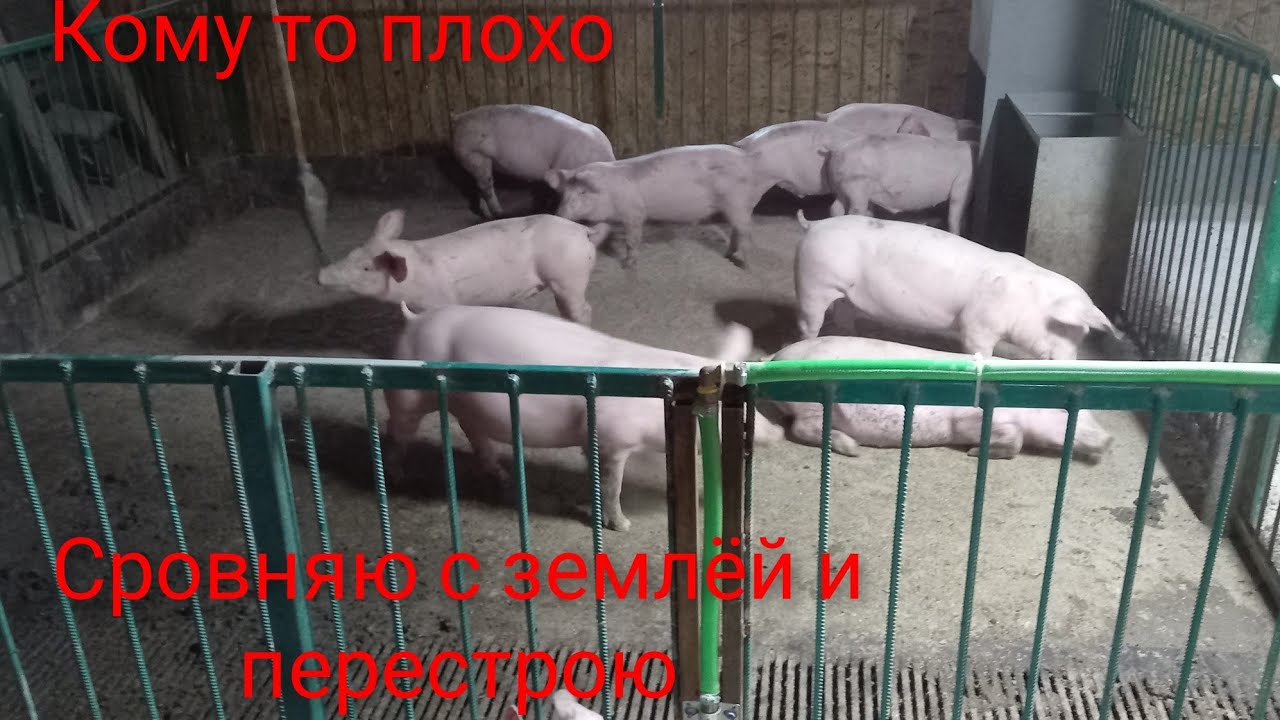 Новый свинарник. Срочно нужно переделать. Плохо построил)))))