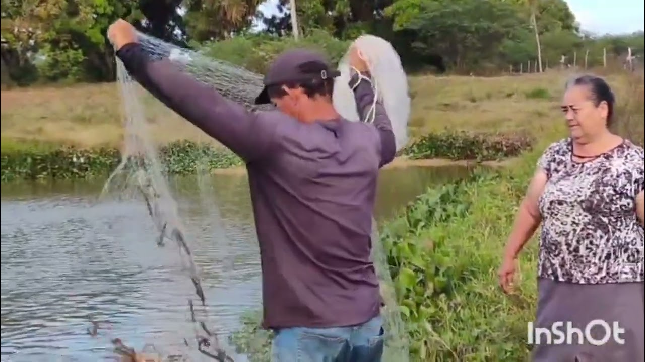 Pescando peixe no tanque 