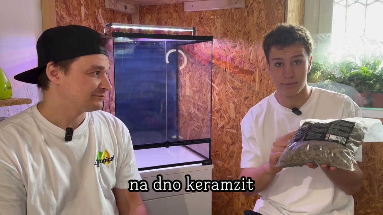 Jak založit terárium pro Pagekony řasnanté ...