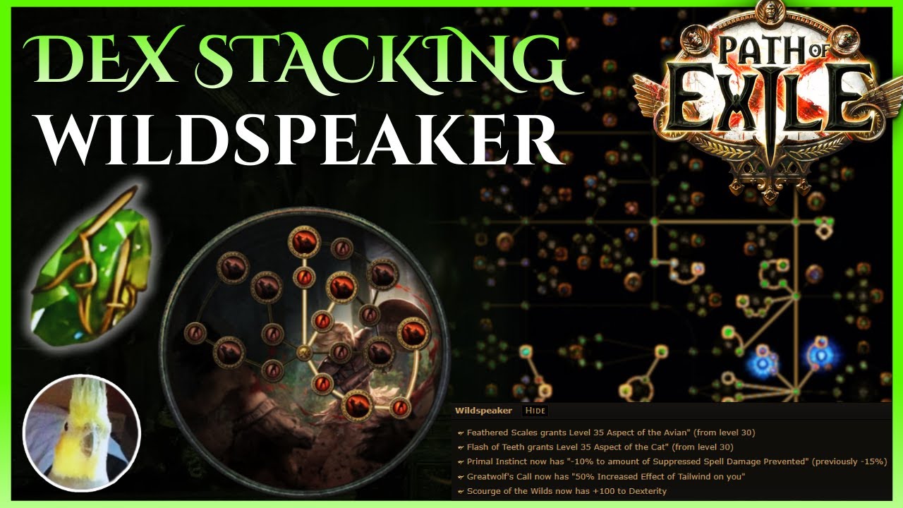 My Legacy of Phrecia League Starter Build - Dex Stack Spectral Throw Wildspeaker [PoE 3.27 Phrecia]