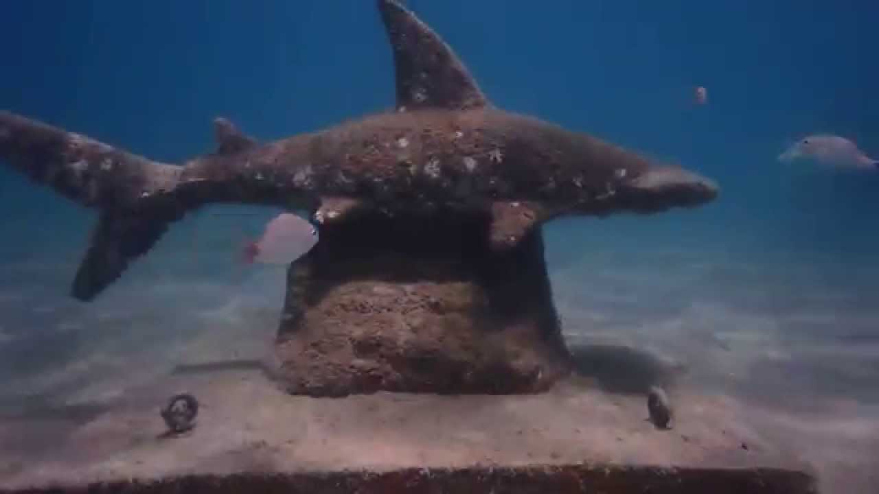 Phil Foster Park Snorkel Trail, Riviera Beach
