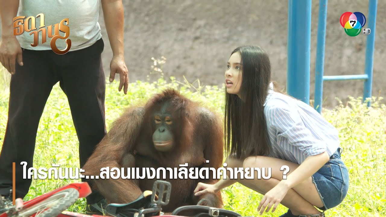 ใครกันนะ...สอนเมงกาเลียด่าคำหยาบ ? | ตอกย้ำความสนุก ธิดาวานร EP.16 | Ch7HD