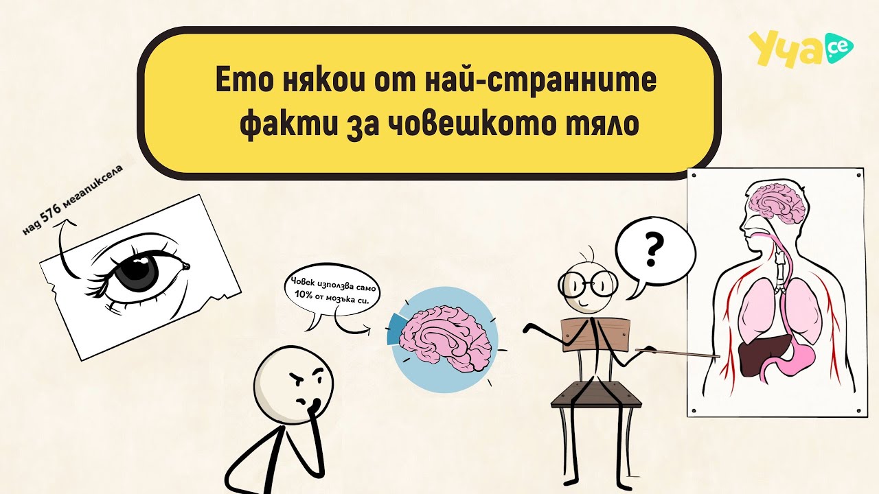 Ето някои от най-странните факти за човешкото тяло!