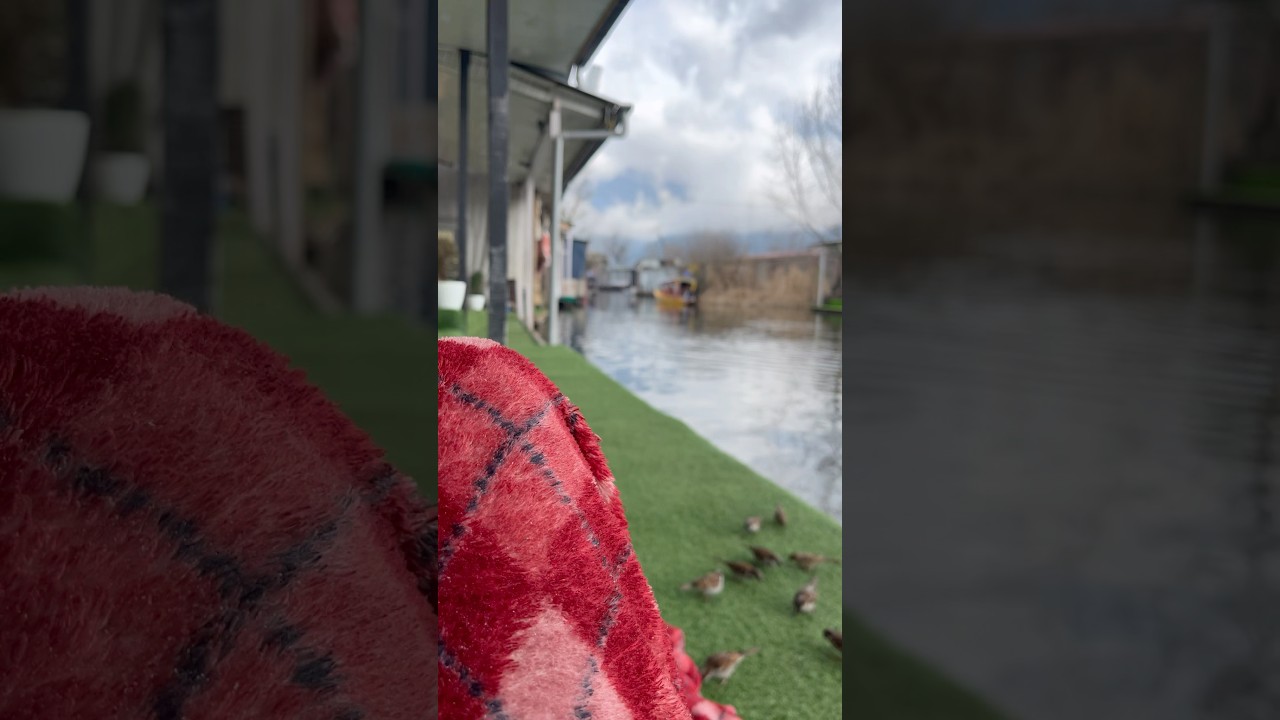 Nature #trending #naturephotography #funny #comedy #shots #view #viralshort #naturvideo #fyp #birds