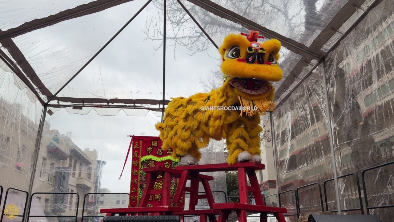 Leung's White Crane Lion Dance 2026 Chinese New Year of the Horse