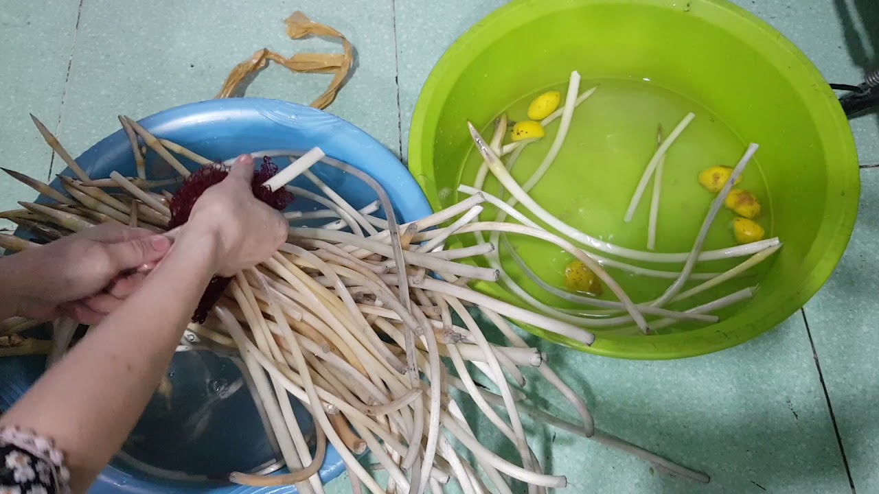 Cách rửa ngó sen sạch trước khi chế biến .