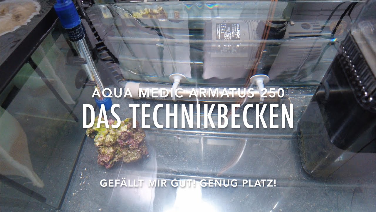 Aqua Medic Armatus 250 Technikbecken Sumpf - Das habe ich verbaut - Mit Filtersocken - Alle Geräte