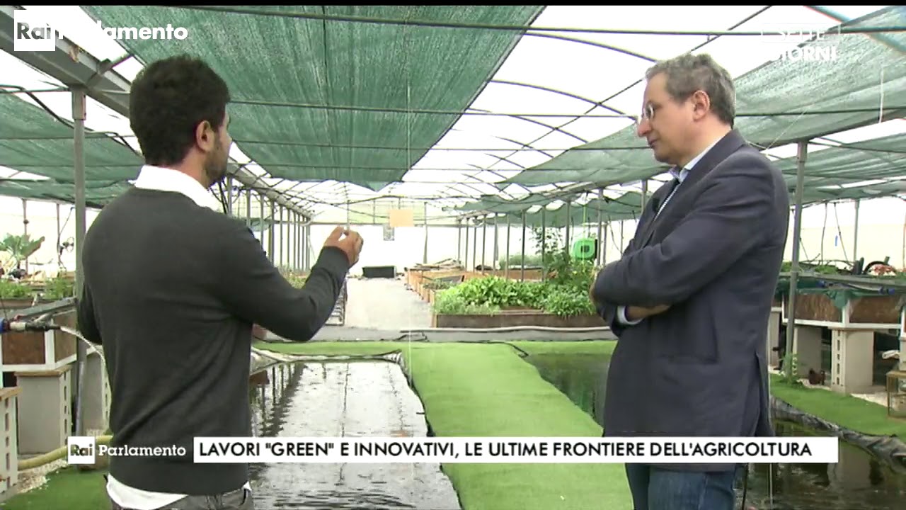Acquaponica: hi-tech e agricoltura sostenibile