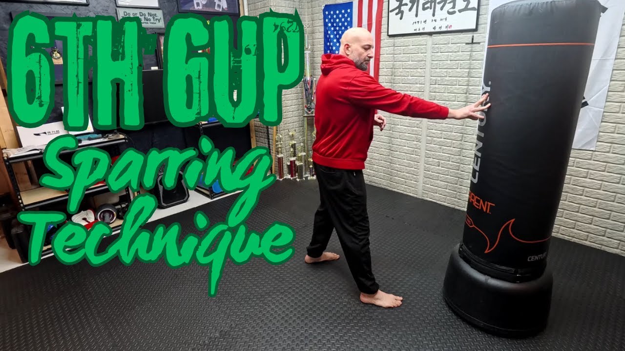 6th Gup Sparring technique - Step-in double roundhouse kick, spinning back kick