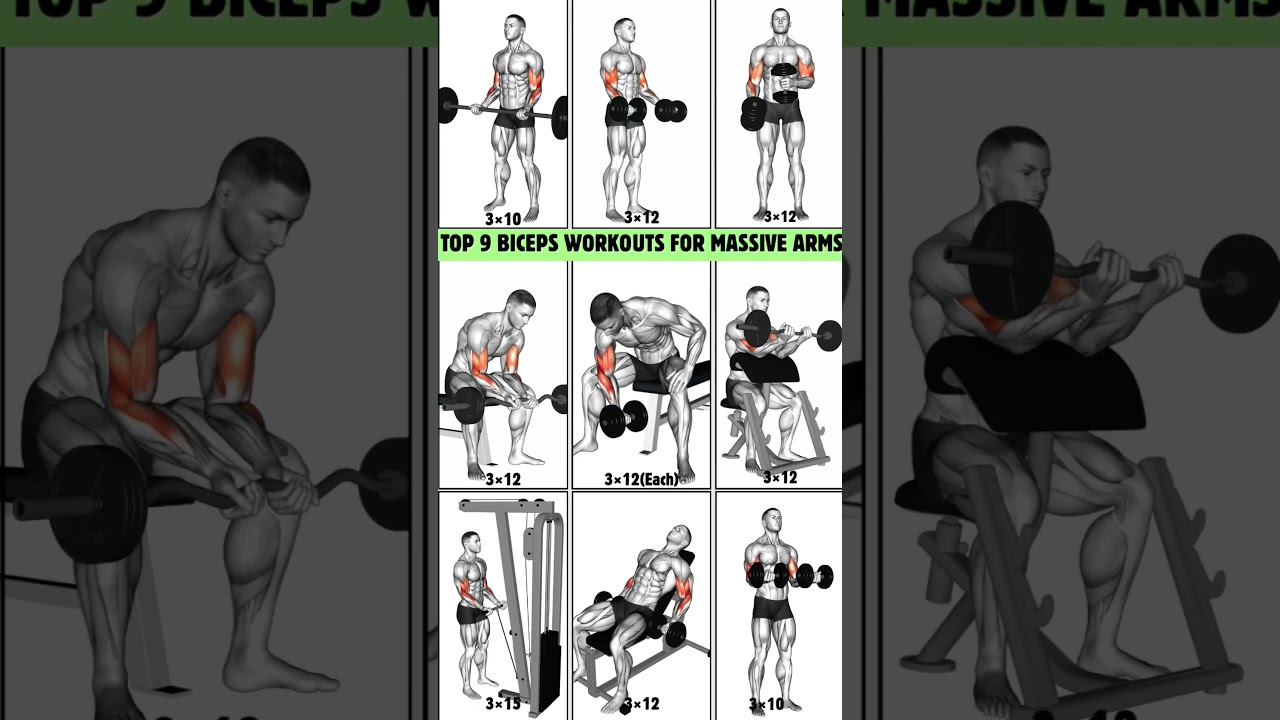 Top 9 Biceps Workouts for Massive Arms | #workout #bicepsworkout