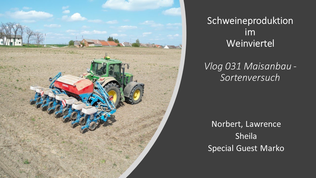 Vlog031 Maisanbau - Sortenversuch