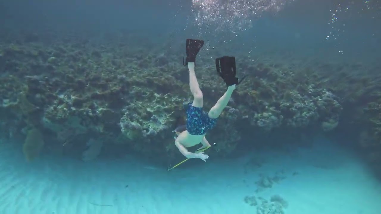 Bahamas Winter 2025 26