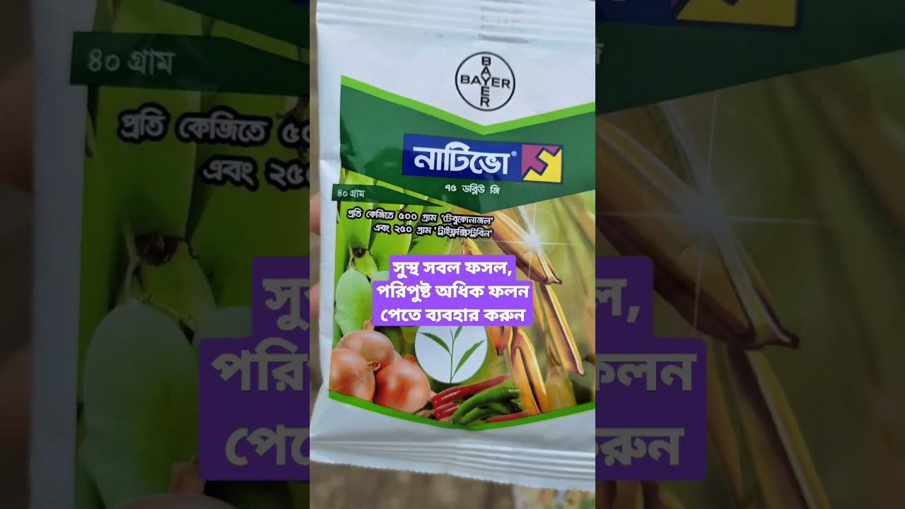 নাটিভো। nativo fungicide | #bayer #nativo #fungicides