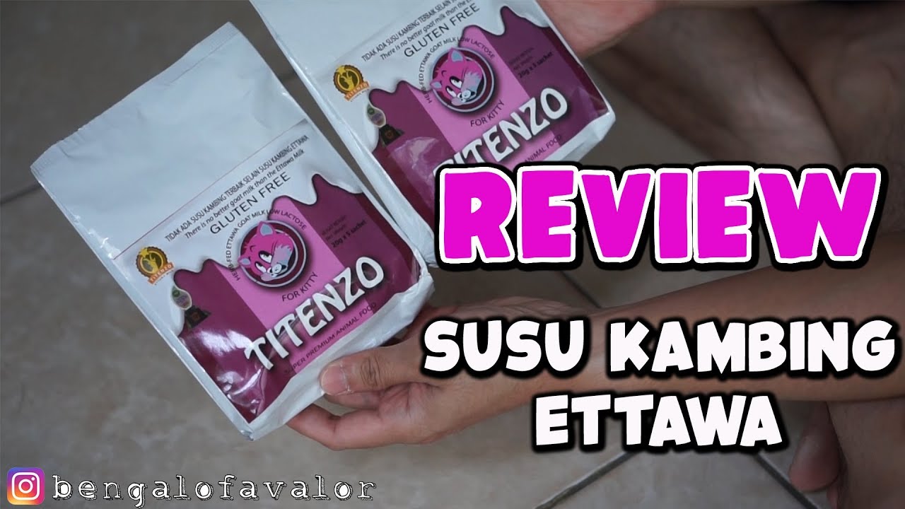 KUCING MINUM SUSU KAMBING ETTAWA PREMIUM