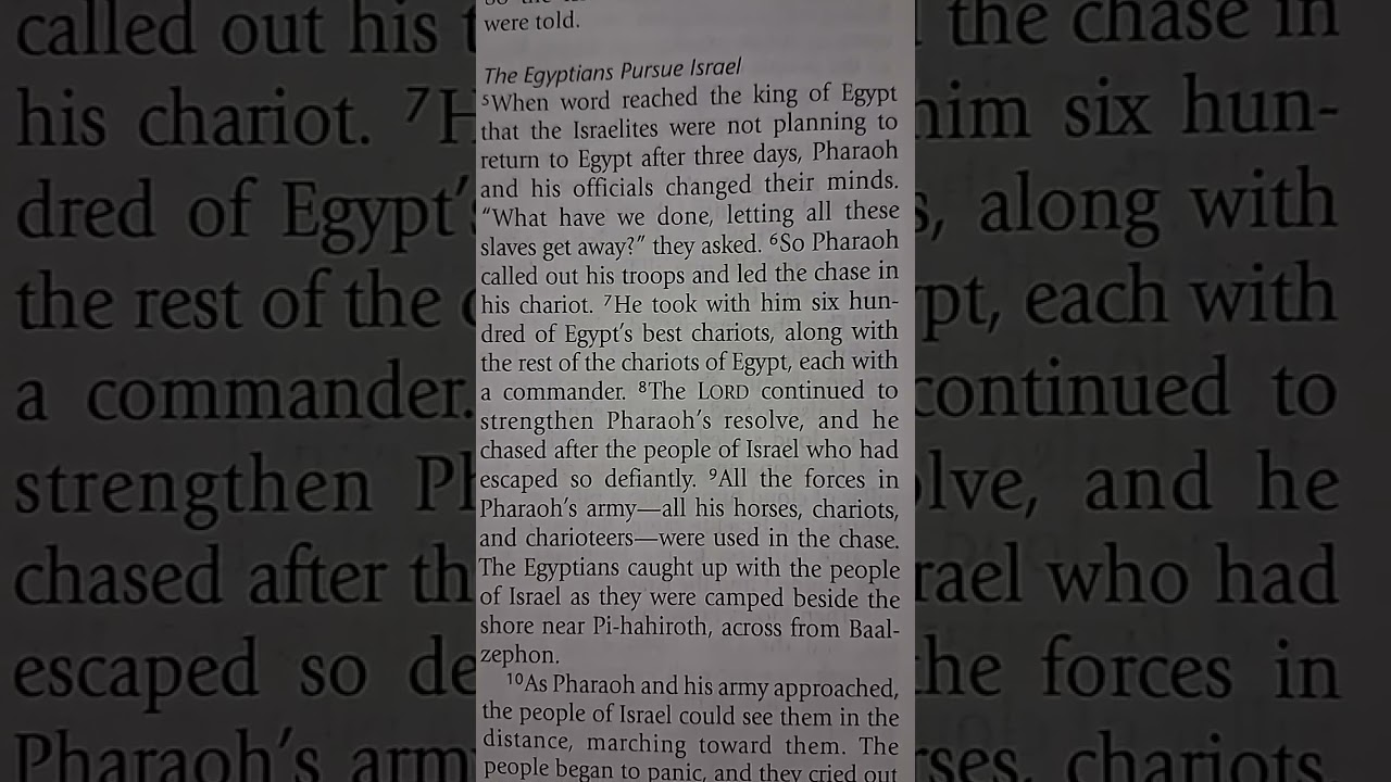 Exodus 13 & 14 