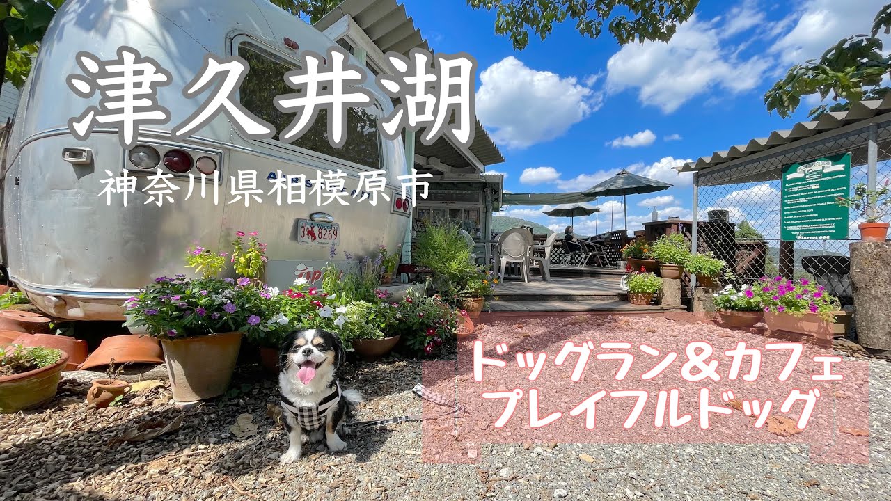 【犬と歩く神奈川】津久井湖でランチとドッグランを愉しむ。季逢庵 / プレイフルドッグ / 相模原市