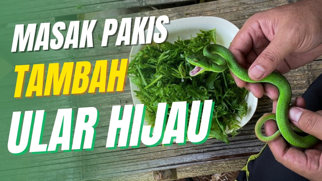 KETEGANGAN DI PINGGIR SUNGAI: NYARI PAKIS & DI PATUK ULAR HIJAU (Langsung Dimasak !)