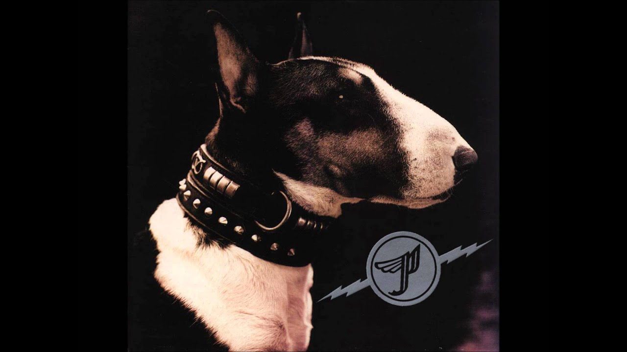 Death to the Pixies - Monkey Gone To Heaven - Live in Holland (8)