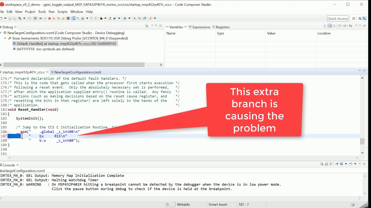What to do when code does not reach main?