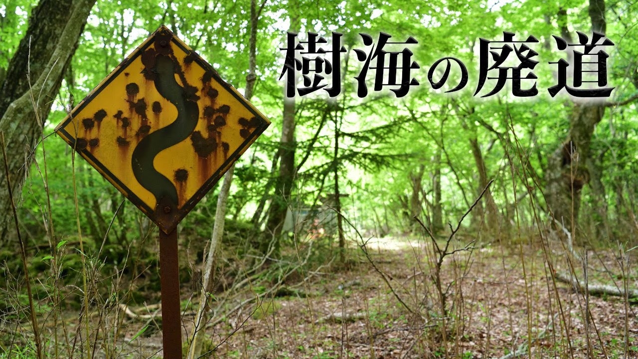 【廃道】青木ヶ原樹海に残る国道139号の旧道をたどる