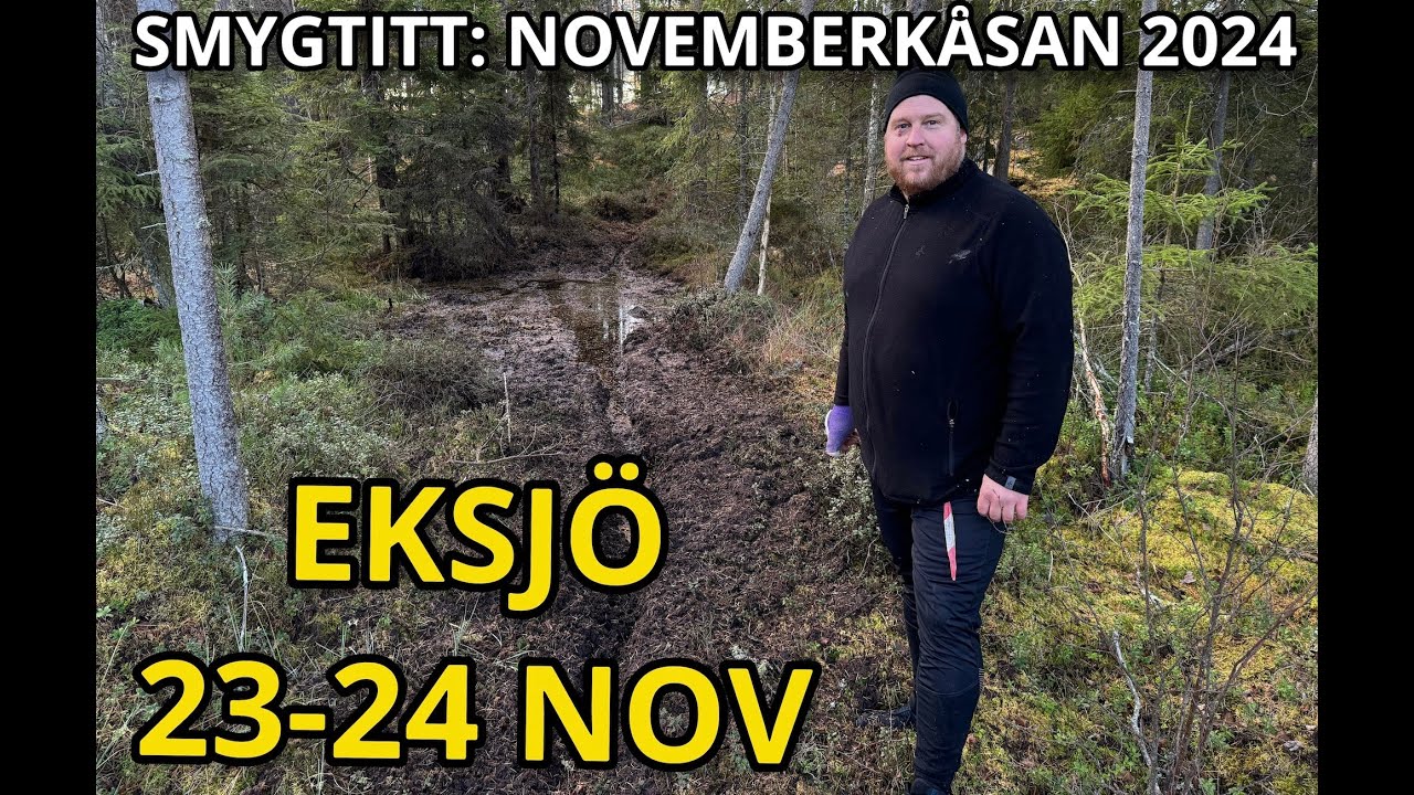 SMYGTITT PÅ NOVEMBERKÅSAN 2024